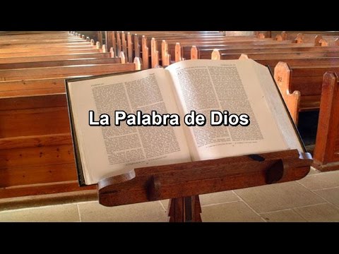 Evangelio y homilía, lunes 28 septiembre 2015 (de nazaret.tv)