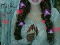 Whatsapp Status