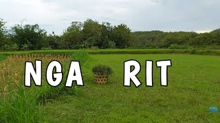 Download lagu Luar Biasa! Aktifitas Kampung Tersembunyi Yang Indah Pemandangan Alam Desa Yang Sejuk mp3