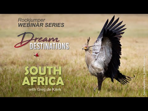 Webinar: Kruger National Park South Africa with Greg de Klerk