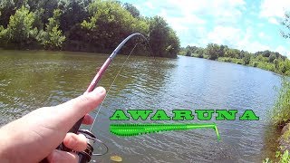 Виброхвост pontoon21 homunculures awaruna 3.0