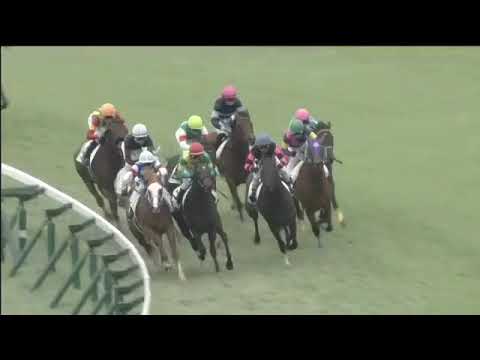 2018.09.30 2yo Newcomer (JPN) -Filmfest