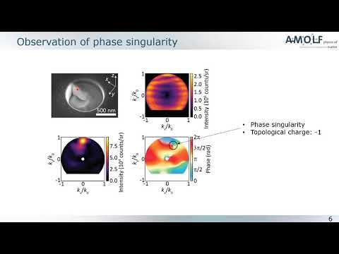 Phase-resolved surface plasmon scattering probed by cathodoluminescence holography  - Nick Schilder