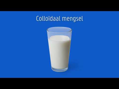 Workshop Waterzuivering | Beeldbank 