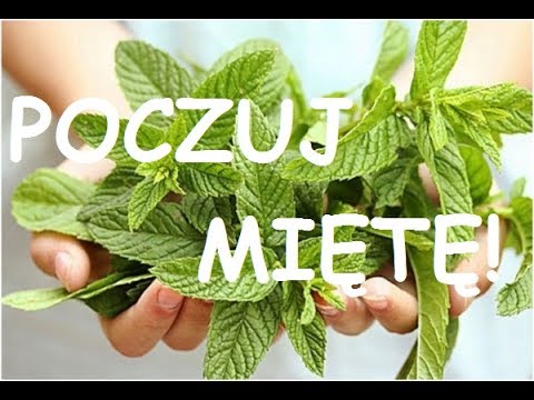 Forum przechowuje leki na sile Siłę tabletka do tłumienia