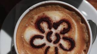 BGM4(비지엠포) - 카페모카 (Cafe Mocha)