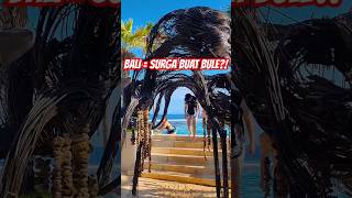 Download lagu SYOK‼️BULE CINTA PANTAI BALI LEBIH DARI LOKAL⁉️#shorts #viralindonesia #buledibali #lifeinbali mp3