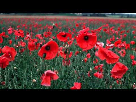 She's A Dancer - Larry Norman