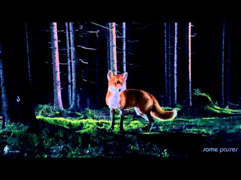 CGI VFX Breakdown 1080p HD   Making Of   The Fox  by   Panoptiqm