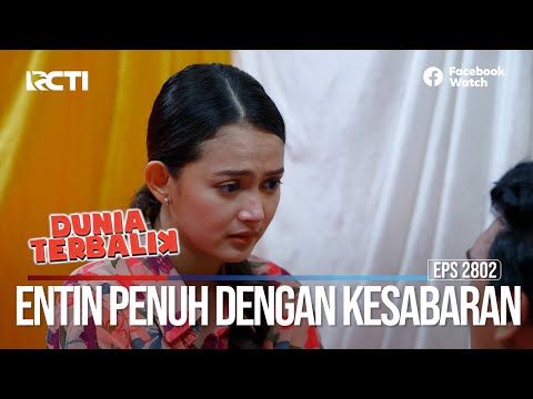 Entin Penuh Dengan Kesabaran - Dunia Terbalik