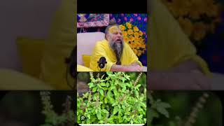 क्यों श्रीजी को तुलसी भोग मे नही लगती #premanandbaba #tulsidal #shorts #bhogparsadi #premanandji