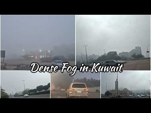 Foggy weather | Dense Fog in Kuwait