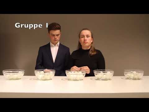 Volleyballtreffet 2018 Gruppetrekking - Sagavoll