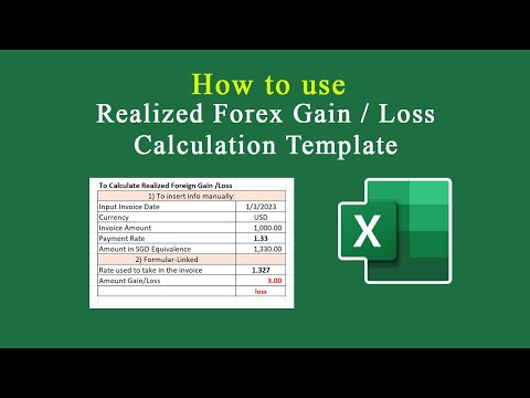 Excel - Realized Foreign Exchange Gain / Loss Calculation Template
