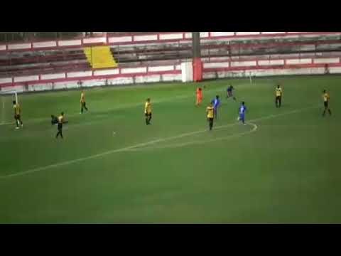 Audax Rio 2x0 Tigres do Brasil | Carioca Série B1-2019 | Gols