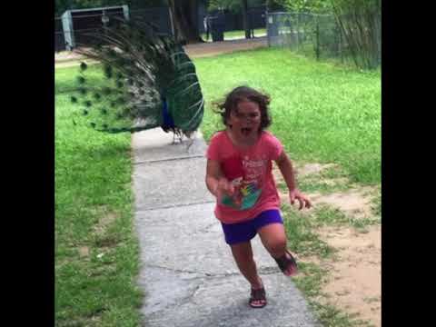 LVSkinny Ft Young 2 Liter - Hard To Get (Audio)