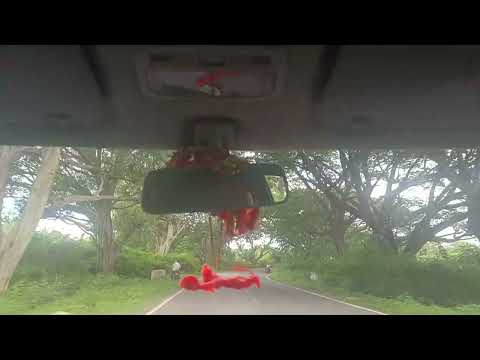 Nature... #driving #roadtrip #entertainment #weekend