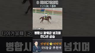[서울 경마] 민병철 대박픽 2025년 11월 1일 토요 1R 추천마3 #경마 #하이라이트 #한국마사회 #경마 #하이라이트 #한국마사회