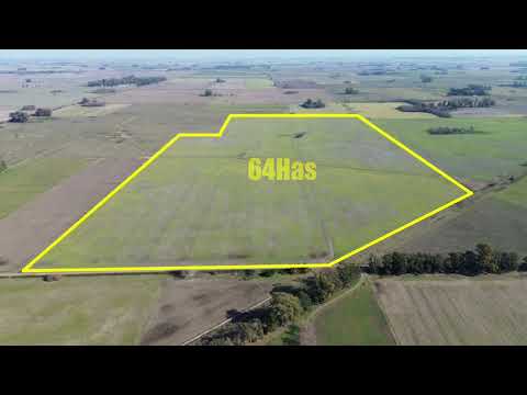 En venta: 64 hectáreas 100% agricola, en Capitán Sarmiento, Buenos Aires, Argentina.