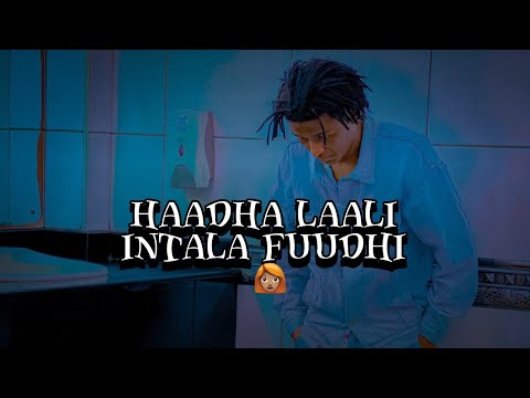 Diree Boy ( West Guy ) - Haadha laali intala fuudhi || ( Best Lyrics Video ) 2024