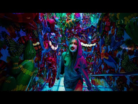 Molly Santana - 1/1 (Official Music Video)