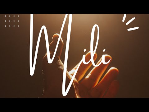 @MILIDINBARBULESTI - O DUHOS LE DEVLESKO