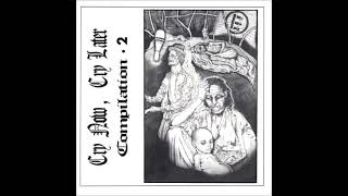 v/a: Cry Now, Cry Later Compilation • 2 (Full 2 x 7" EP)