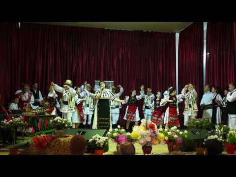 Adriana Șolea- Așa zâc oamenii-n sat