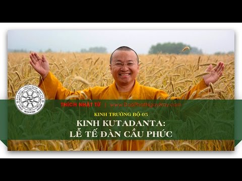 Kinh Trường bộ 05 – Kinh Kutadanta – Lễ tế đàn cầu phúc (01/06/2014) - Thích Nhật Từ