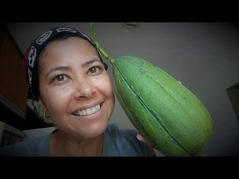 Já comeu bucha refogada? É uma delícia! Experimente!!!