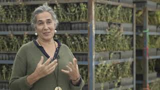 Herdade de Espirra - Uma Visita aos Viveiros