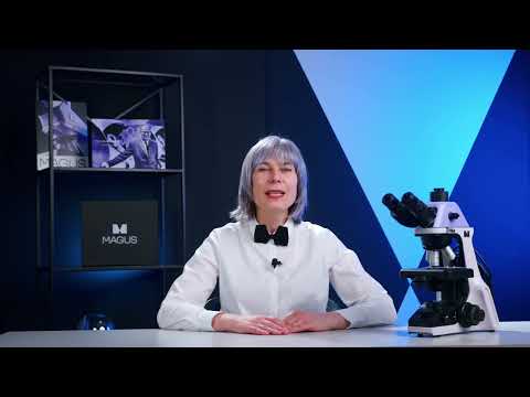 Микроскоп биологический MAGUS Bio 240B