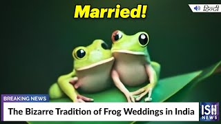 The Bizarre Tradition of Frog Weddings in India