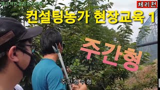 ㅡ대한민국 체리 발전소ㅡ 체리원 컨설팅농가 현장교육 1 주간형수형