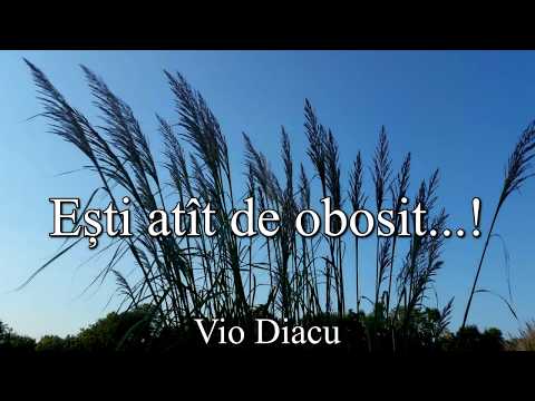 Vio Diacu - Ești atît de obosit, iubite călător (Cu Versuri)