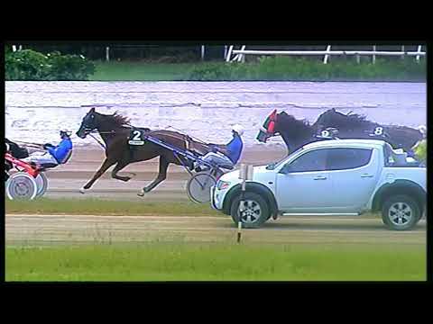 Trotto 29/05/2020 - 1ª corsa