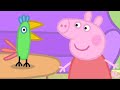 Peppa Looks After Polly The Parrot ️ Peppa Pig Full Episodes