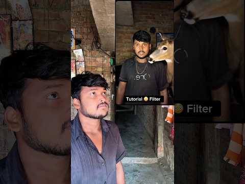 How to Use the \Dear Deer\ Filter on YouTube Shorts! 🦌✨ #shorts #tutorial #filter