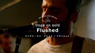 dogs on acid - flushed
