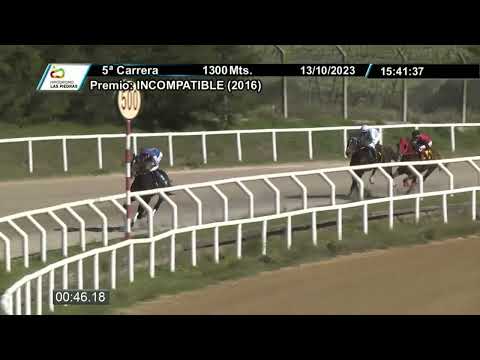 231013 c05 - EL CARO - HIPODROMO LAS PIEDRAS
