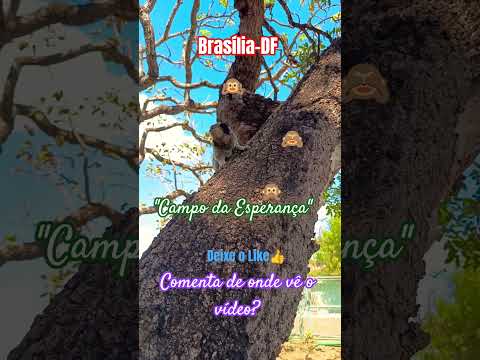 🌎🇧🇷🌵🚗 Brasília-DF 🙉🙈🙊 #brasilia #goiás #itapetim #nordeste #juazeiro #ipameri #arapiraca #caruarupe