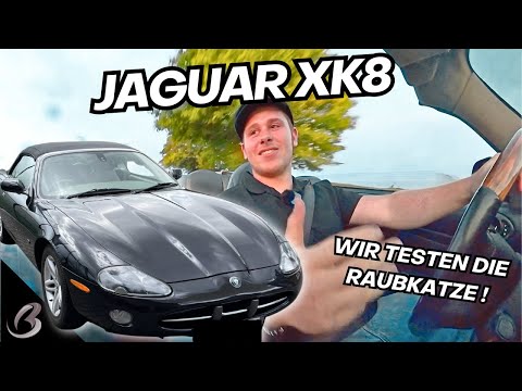 JAGUAR XK8 - RAUBKATZE ODER PUSSYCAT? | Benzin Bros CarReview #12