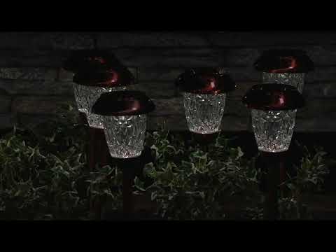 Paradise Set of 12 Prism Glass Solar Pathway Light Set on QVC