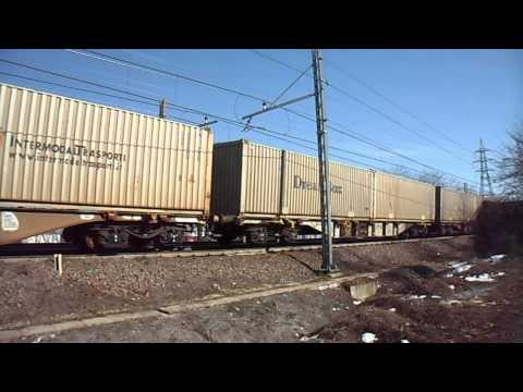 UN BEL TIGRONE CON CARRI INTERMODALI