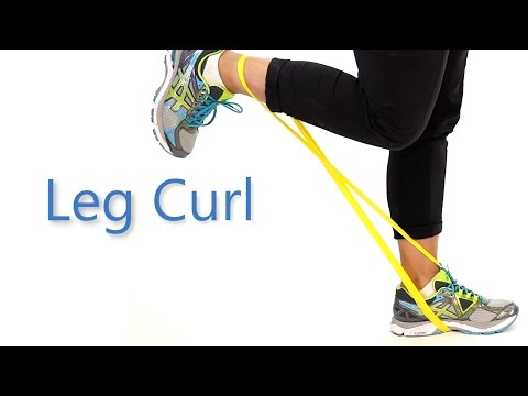 レッグカールのやり方。健康e大学 (How to do a Leg Curl: Health e-University)