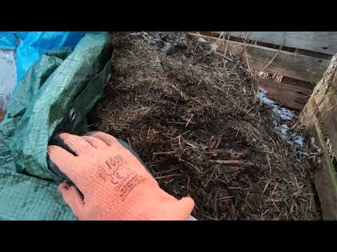 Jaka temperatura w komposcie przy -10 stopni Celsjusza? Jakie prace w ogrodzie 11 marca 2022?