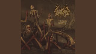 Wretched Human Mirror