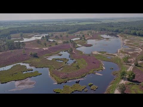 BuitenGewoon 31 augustus 2019 - Hatertse Vennen