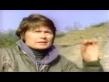 The Dinosaurs Flesh On The Bones Part 3