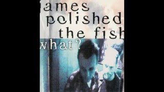 James Polished The Fish - What